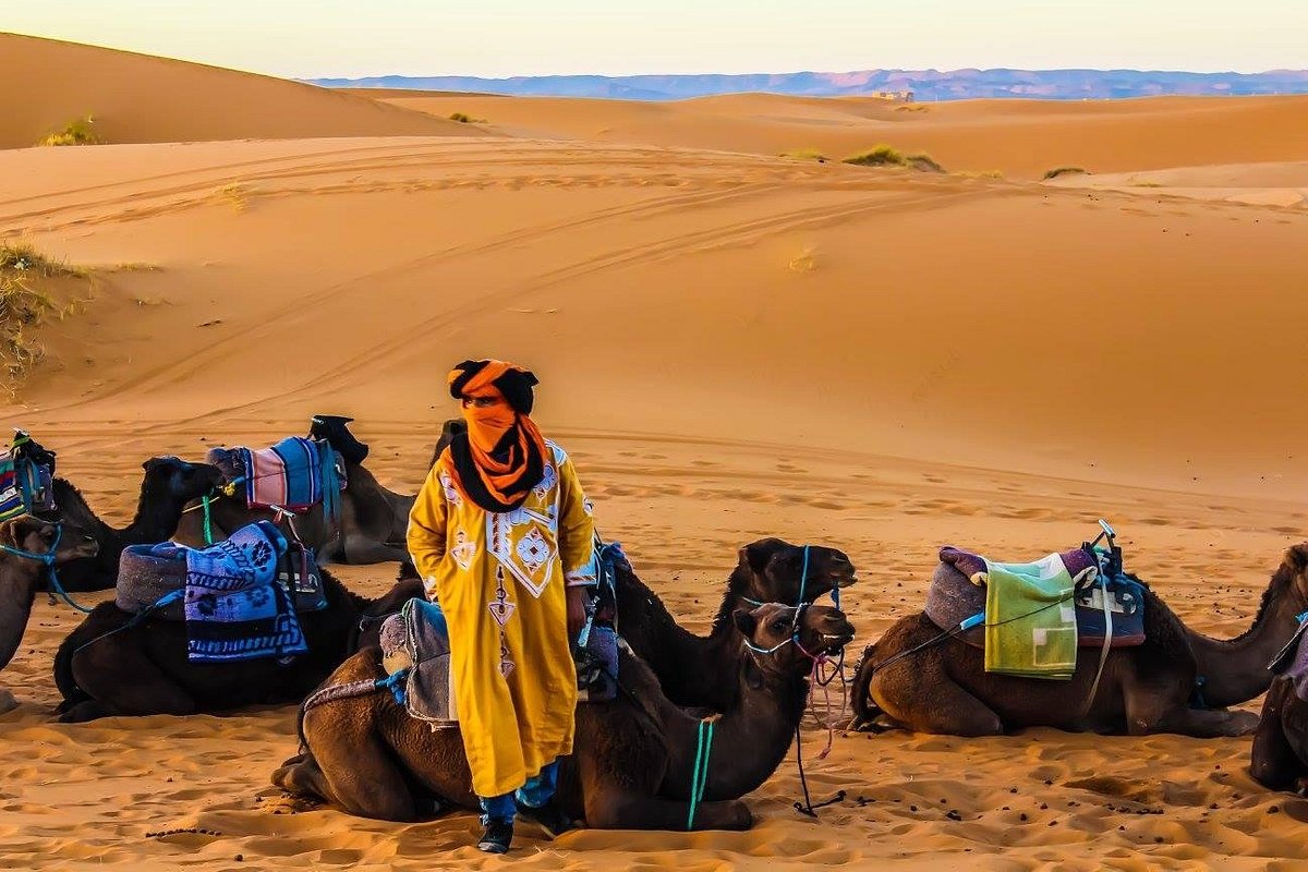 Dunes du Sahara